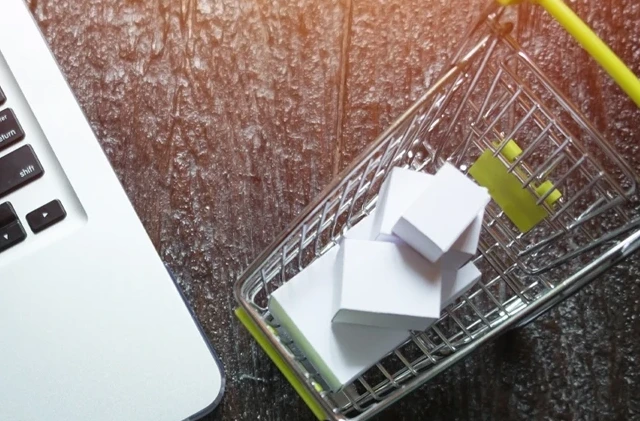 E-Commerce Online-Shop von Green Color